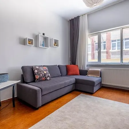 Spacious Dublex In Cihangir *