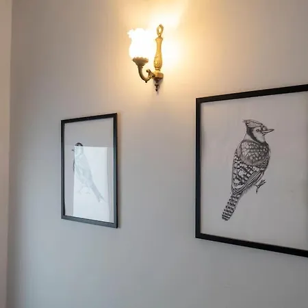 Spacious Dublex In Cihangir Apartmán